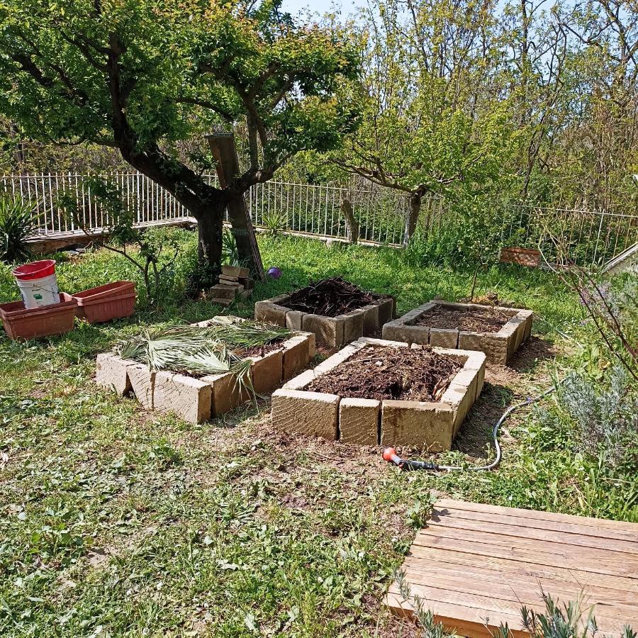 Ripe's Forest Garden Rome