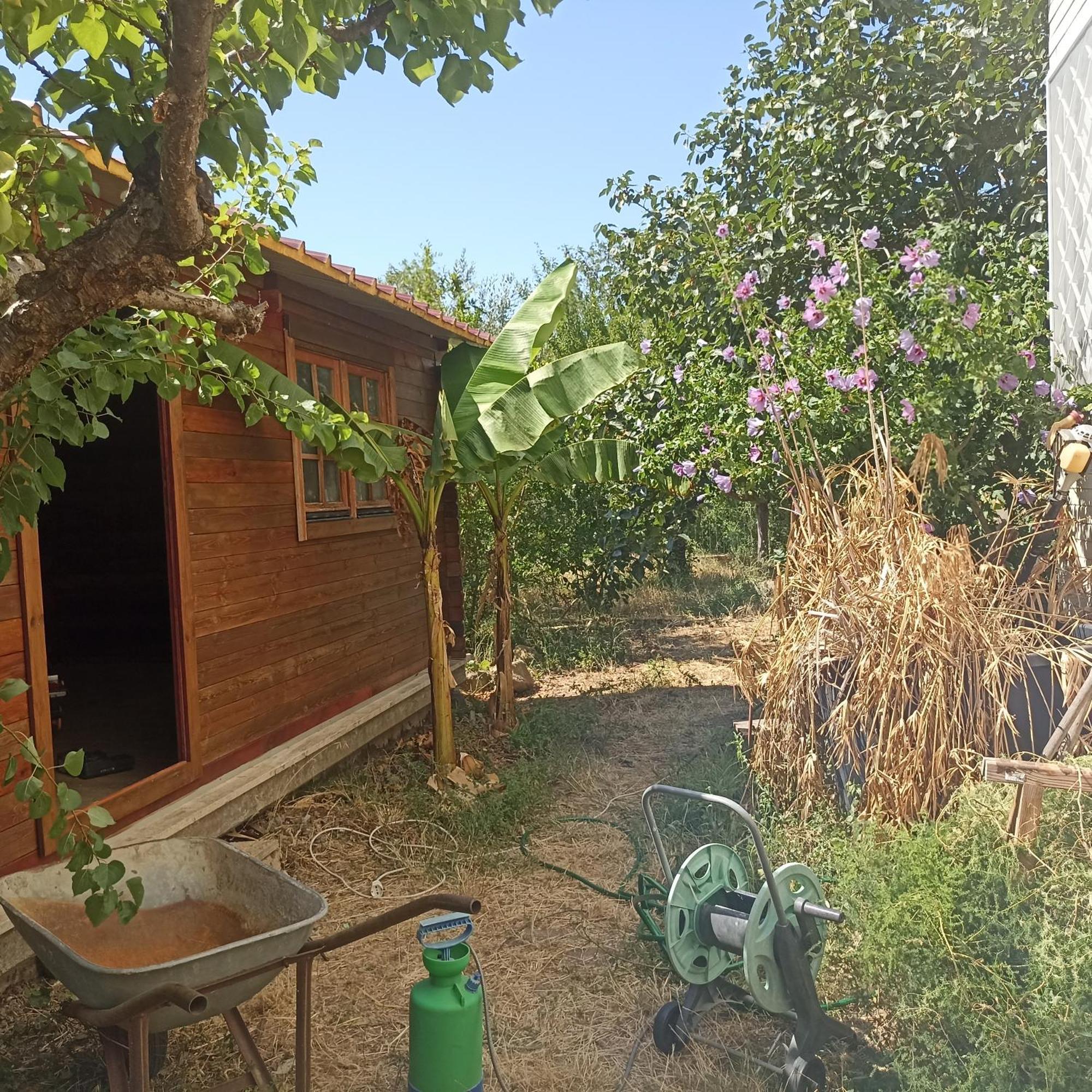 Ripe's Forest Garden Guest house
